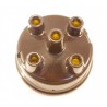 Tête d'allumeur marron