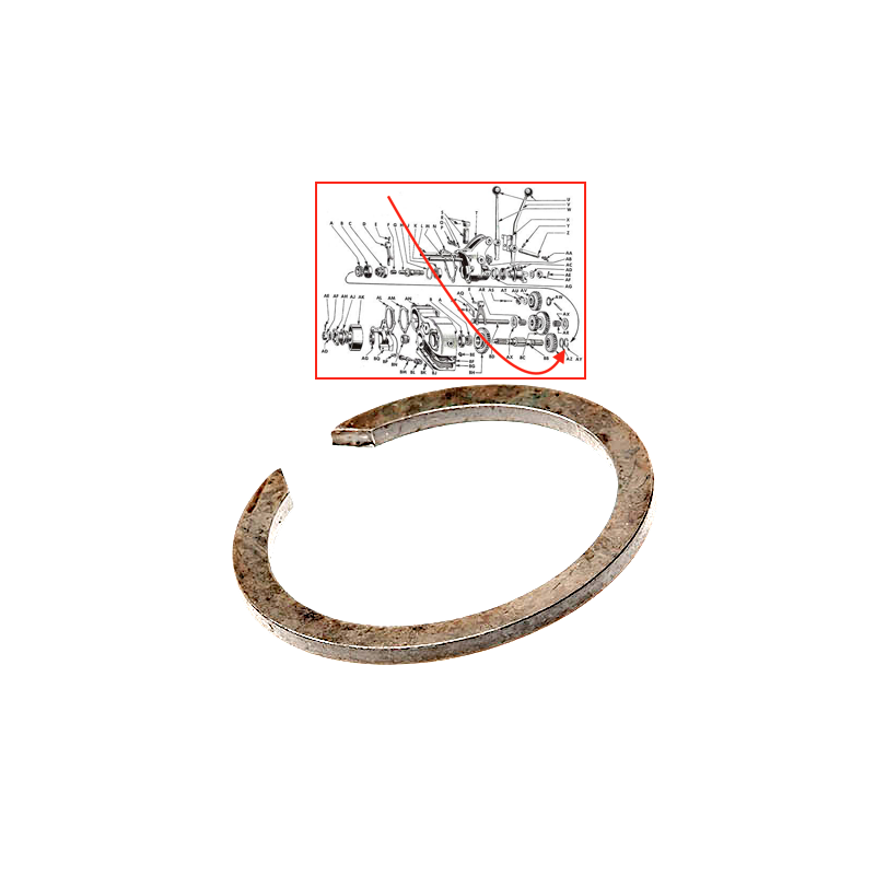 Jonc arbre à canelure - BT